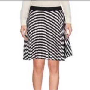 Etienne Deroeux Striped Plisse Silk Mini Skirt